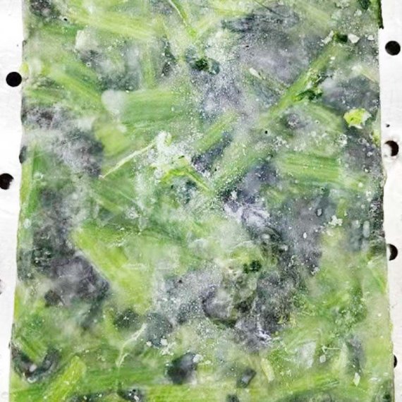 ほうれん草かっと　BQF